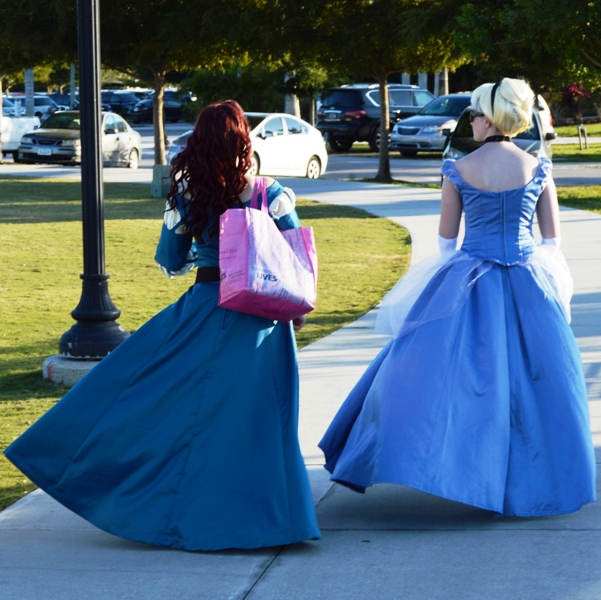 Brave Cinderella Gown Dress Costume